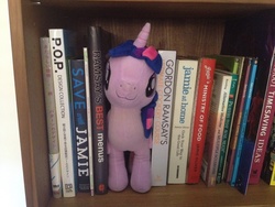 Size: 1280x960 | Tagged: safe, artist:dm29, twilight sparkle, alicorn, pony, g4, :3, book, bookhorse, bookshelf, cute, female, gordon ramsay, irl, jamie oliver, japanese, julian yeo is trying to murder us, male, mare, photo, plushie, smiling, solo, that pony sure does love books, the simpsons, twiabetes, twilight sparkle (alicorn)