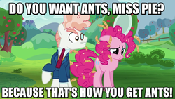 Size: 800x450 | Tagged: safe, screencap, pinkie pie, svengallop, earth pony, pony, g4, the mane attraction, angry, archer (show), female, food, go to sleep svengallop, image macro, looking down, male, mare, meme, oats, plate, sad, stallion, yelling