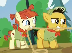Size: 524x385 | Tagged: safe, screencap, nature walk, russell, g4, the mane attraction, camp friendship, clothes, colt, filly, hat, neckerchief, scout uniform, shirt, tug of war, up