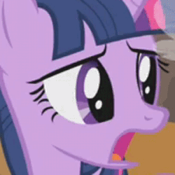 Size: 300x300 | Tagged: safe, screencap, twilight sparkle, pony, unicorn, g4, swarm of the century, animated, cropped, female, frown, head shake, horrified, loop, mare, no, open mouth, reaction image, solo