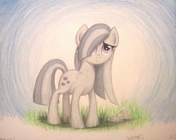 Size: 1003x797 | Tagged: safe, artist:thefriendlyelephant, marble pie, earth pony, pony, g4, adorable face, cute, female, grass, marblebetes, rock, solo, traditional art