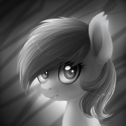 Size: 500x500 | Tagged: safe, artist:ghst-qn, oc, oc only, bat pony, pony, black and white, grayscale, monochrome, solo