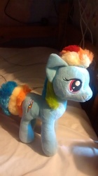 Size: 1456x2592 | Tagged: safe, rainbow dash, g4, irl, photo, plushie, solo, wingless