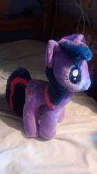 Size: 1456x2592 | Tagged: safe, twilight sparkle, g4, irl, photo, plushie