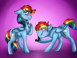 Size: 1600x1200 | Tagged: safe, artist:artistcoolpony, rainbow dash, pony, g4, duo, female, male, marriage proposal, rainbow blitz, rule 63, self ponidox, selfcest, ship:dashblitz, shipping, straight