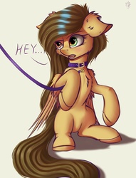 Size: 823x1080 | Tagged: safe, artist:apostolllll, oc, oc only, pony, chest fluff, collar, ear fluff, floppy ears, leash, pet tag, pony pet, solo