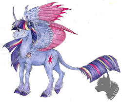 Size: 3947x3293 | Tagged: safe, artist:biakela, twilight sparkle, alicorn, classical unicorn, pony, g4, chest fluff, colored, female, high res, horn, leonine tail, mare, rainbow power, scar, solo, twilight sparkle (alicorn), unshorn fetlocks