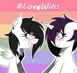 Size: 3898x3702 | Tagged: safe, artist:go0re, oc, oc only, oc:g-racoon, oc:seik ceh, pegasus, pony, unicorn, blushing, female, gay pride, gay pride flag, happy, hashtag, heart eyes, high res, lesbian, looking at each other, lovewins, ponified, pride, rainbow background, shadow, smiling, wingding eyes
