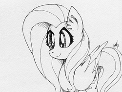 Size: 2048x1536 | Tagged: safe, artist:mylittlelevi64, fluttershy, g4, black and white, female, folded wings, grayscale, simple background, solo