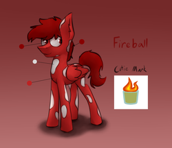 Size: 1882x1627 | Tagged: safe, artist:marsminer, oc, oc only, oc:fireball, reference sheet, solo