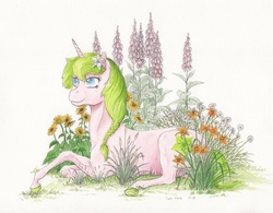 Size: 2690x2095 | Tagged: safe, artist:lady-limule, oc, oc only, oc:anthea, pony, unicorn, kilalaverse, adopted offspring, braid, female, flower, flower in hair, high res, horn, lying down, mare, offspring, parent:fluttershy, parent:oc:azalea, parent:oc:berry vine, parents:oc x oc, prone, smiling, solo, traditional art, unicorn oc