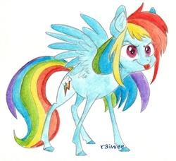 Size: 1060x966 | Tagged: safe, artist:raiwee, rainbow dash, g4, female, simple background, solo, spread wings, standing, tongue out, traditional art