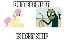 Size: 640x400 | Tagged: safe, fluttershy, g4, butterfinger, butterscotch, crack shipping, image macro, meme, rule 63, salad fingers, shipping