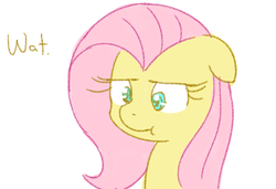 Size: 657x450 | Tagged: safe, artist:speccysy, fluttershy, pegasus, pony, g4, :t, bust, confluttershy, confused, female, floppy ears, fluttershy is not amused, frown, lidded eyes, mare, portrait, reaction image, simple background, solo, text, unamused, wat, white background