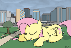 Size: 1232x821 | Tagged: safe, artist:rapidstrike, fluttershy, human, pony, g4, city, eyes closed, giant pony, giantess, macro, park, petting, sleeping, smiling