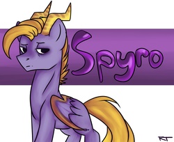 Size: 1252x1024 | Tagged: safe, artist:yukomaussi, dracony, hybrid, ponified, solo, spyro the dragon, spyro the dragon (series)