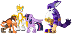 Size: 1500x762 | Tagged: safe, artist:polaicy, twilight sparkle, alicorn, pony, g4, big the cat, crossover, female, male, mare, miles "tails" prower, sonic boom, sonic the hedgehog (series), sticks the badger, twilight sparkle (alicorn)