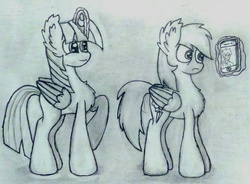 Size: 2468x1813 | Tagged: safe, artist:hypergurl4010, rainbow dash, twilight sparkle, alicorn, pony, g4, female, iphone, magic, mare, monochrome, traditional art, twilight sparkle (alicorn)