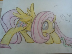 Size: 512x384 | Tagged: safe, artist:themastergirl, fluttershy, snake, g4, traditional art