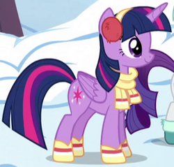 Size: 388x371 | Tagged: safe, screencap, rarity, twilight sparkle, alicorn, pony, g4, tanks for the memories, boots, clothes, cropped, cute, earmuffs, female, mare, outfit catalog, scarf, solo focus, twiabetes, twilight sparkle (alicorn), winter outfit