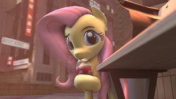 Size: 1920x1080 | Tagged: safe, artist:qhostiiee, fluttershy, g4, 3d, city, cup, drinking, female, looking at you, solo, source filmmaker