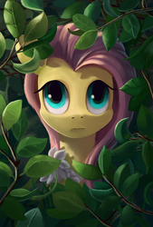 Size: 608x900 | Tagged: dead source, safe, artist:maggwai, fluttershy, pegasus, pony, g4, bush, female, foliage, portrait, solo, thousand yard stare