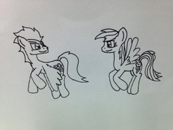 Size: 500x375 | Tagged: safe, artist:jrapcdaikari, rainbow dash, soarin', pony, g4, monochrome, sketch, traditional art