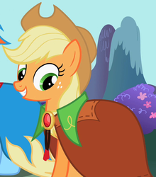 Size: 586x666 | Tagged: safe, screencap, applejack, rainbow dash, earth pony, pegasus, pony, g4, secret of my excess, applejack's hat, cape, clothes, cowboy hat, hat, outfit catalog, taffeta cape