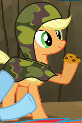 Size: 331x500 | Tagged: safe, screencap, applejack, rainbow dash, earth pony, pony, dragon quest, g4, camouflage, clothes, cropped, female, hood, mare, outfit catalog, raised hoof, solo focus