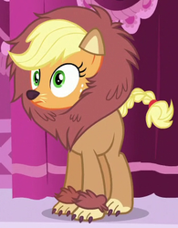 Size: 346x443 | Tagged: safe, screencap, applejack, big cat, lion, pony, g4, scare master, animal costume, applelion, braided tail, clothes, costume, female, mare, outfit catalog, solo