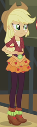 Size: 254x866 | Tagged: safe, screencap, applejack, equestria girls, g4, my little pony equestria girls: friendship games, female, outfit catalog, solo