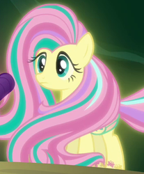 Size: 350x423 | Tagged: safe, screencap, fluttershy, rarity, pony, g4, twilight's kingdom, outfit catalog, rainbow power