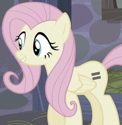 Size: 615x631 | Tagged: safe, screencap, fluttershy, g4, the cutie map, equal cutie mark, equalized, female, outfit catalog, solo