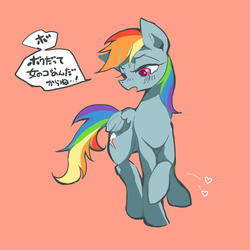 Size: 800x800 | Tagged: safe, artist:wan, rainbow dash, g4, female, japanese, simple background, solo, translated in the comments, tsunderainbow