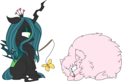 Size: 3842x2590 | Tagged: safe, artist:ro-z-po-z, queen chrysalis, oc, oc:fluffle puff, butterfly, g4, behaving like a cat, canon x oc, female, high res, lesbian, ship:chrysipuff, shipping, simple background, tongue out, toy, transparent background