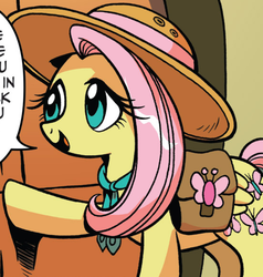 Size: 553x581 | Tagged: safe, idw, fluttershy, g4, spoiler:comic, clothes, costume, female, guide, nature, outfit catalog, solo