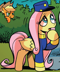 Size: 440x527 | Tagged: safe, idw, applejack, fluttershy, friendship is magic #26, g4, my little pony: friendship is magic (idw), spoiler:comic, mailmare, out of context, outfit catalog