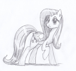 Size: 1758x1640 | Tagged: safe, artist:digiral, fluttershy, g4, female, monochrome, solo, traditional art