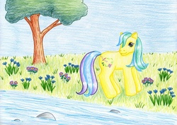 Size: 1024x724 | Tagged: safe, artist:normaleeinsane, meadowbrook (g3), g3, female, flower, river, solo, stream, traditional art, tree