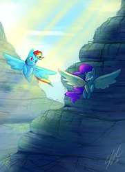 Size: 929x1280 | Tagged: safe, artist:seyllah, fluttershy, rainbow dash, g4, crepuscular rays, flying, looking at each other, spread wings