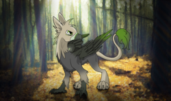 Size: 2000x1178 | Tagged: safe, artist:asklevee, oc, oc only, oc:ralek, griffon, colored wings, forest, gradient wings, paws, solo, talons