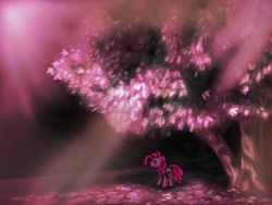 Size: 1280x960 | Tagged: safe, artist:causticeichor, pinkie pie, g4, cherry blossoms, female, pink, sakura pie, solo, tree