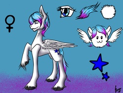 Size: 1600x1200 | Tagged: safe, artist:stirren, oc, oc only, pegasus, pony, female, mare, present, reference sheet, solo