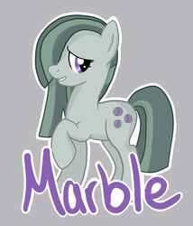 Size: 4798x5601 | Tagged: safe, artist:velocityraptor, marble pie, earth pony, pony, g4, hearthbreakers, absurd resolution, female, solo