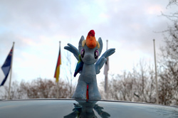 Size: 1600x1064 | Tagged: safe, artist:egalgay, artist:svimik, rainbow dash, g4, german flag, irl, photo, plushie, solo