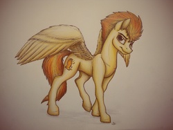 Size: 3200x2400 | Tagged: safe, artist:lupiarts, spitfire, g4, female, high res, large wings, solo, traditional art
