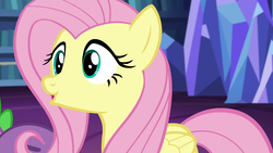 Size: 1920x1080 | Tagged: safe, fluttershy, spike, g4, scare master, book, bookshelf, cute