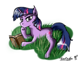 Size: 537x419 | Tagged: safe, artist:tincantim, twilight sparkle, g4, book, bored, female, grass, prone, solo