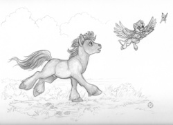 Size: 1000x724 | Tagged: safe, artist:darknatasha, oc, oc only, oc:flix (goldfur), oc:long path, butterfly, classical hippogriff, hippogriff, fanfic:the growing years, fanfic art, fanfic cover, flying, grass, grayscale, monochrome, nudity, outdoors, running, sheath, traditional art, unshorn fetlocks