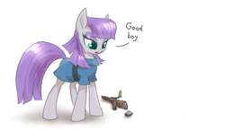 Size: 1000x619 | Tagged: safe, artist:mlpanon, edit, boulder (g4), maud pie, earth pony, pony, g4, clothes, female, fetch, mare, simple background, solo, stick, white background